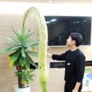 영주2동행정복지센터 이미지