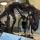 상아지네 | 나 혹시 몰라 경고하는데 잘들어