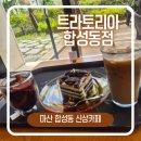 마산합성동카페 친구랑 다녀온 애견동반 신상카페 트라토리아 후기