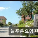 (주)늘푸른환경 | 평택시 요양원 늘푸른요양원 늘푸른요양원 믿음과 사랑으로 보살핌