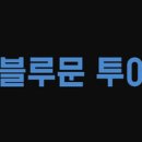 블루문투어 이미지