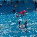 웅상문화체육센터 수영장 이미지