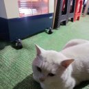 금순이농장 이미지