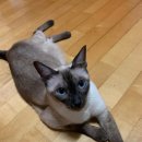 영주장례식장 이미지