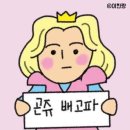 마켓무 - 용인시 수지구 대지로 139 | 마켓무