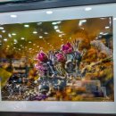 갤러리약국 이미지