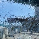 창평세차장 이미지