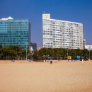 해운대로 570번길46 이미지