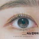 라보떼네일 이미지