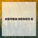 SNS 블로그 만들기 이미지
