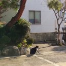 정무달외과의원 이미지