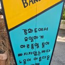 109 | 갯뻘뷰 없는 강화도 오션뷰 카페 '카페 109 하우스' 솔직 후기