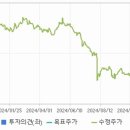 위즈코프(주)주암휴게소(순천방향)주유소 | 위즈코프 주가 주식 전망 - 고속도로 휴게소 및 주유소 운영을 주 사업