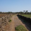 하도면수동경로당 이미지