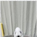 키티앤퍼피 이미지