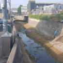 평동세차장 이미지