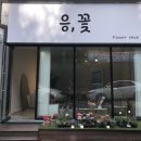 응;꽃 이미지