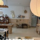 중앙동291 | 순천 중앙동 감성 소품샵 추천, mpr88