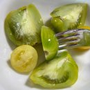 위험한studio | 퓨터 플레이트 [PELTRO STUDIO] 펠트로 스튜디오 신세계 강남 첫 팝업 행사 방문 후기!