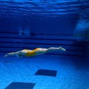 수영-305 이미지