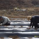 희복농장 이미지