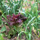 길손농장 이미지