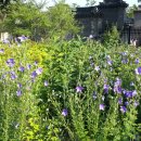 서현네트웍스 이미지