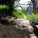 느티나무 그늘아래 평상 이미지