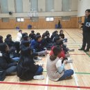 공도초등학교 이미지