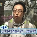 단월면사무소 | 🌿 반려견과 함께한 산속 휴식 🌿 산음 자연휴양림(서울 근교 / 애견 동반 가능)