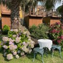 클로버비앤비 이미지