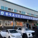 제미나이가 추천해준 용인 활주로수산, 대방어 포장 후기