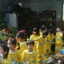 통도사유치원 이미지