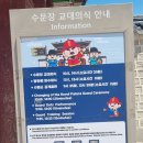 연화유치원 | 경복궁 야간개장 후기 (+초등학생 아이와 서울 당일치기 나들이 코스)