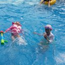 스파시스 이미지