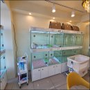 라이프독 이미지