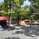 매화2길 이미지