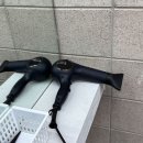 톡스앤필브로우