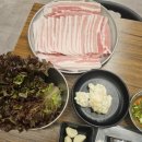 고기선생 이미지