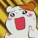 청춘냄비 이미지