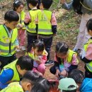 동내초병설유치원 이미지