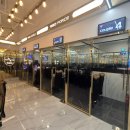 레드포스 PC 아레나 이미지