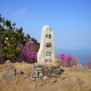 ⛰️4월 미봉 산악회 정기 산행 거제도 대금산 진달래 꽃놀이⛰️ 이미지