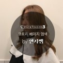 대구 코토리베이지 염색 후기