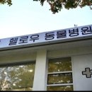 헬로우동물병원 - 서대문구 연희로 178 | 헬로우동물병원