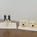 너를닮은케이크 이미지