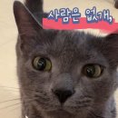 24시무인애견간식아무도없개 - 전주시 덕진구 오공로 43-52 | 24시무인애견간식아무도없개