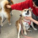 카페투영즈