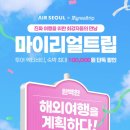에어랜드항공 이미지
