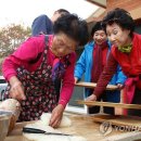 안덕파워영농조합법인 이미지